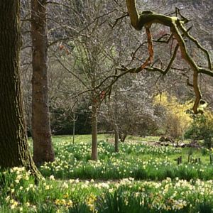 Batsford Aboretum