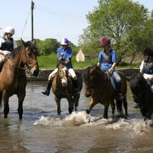 Horse riding at Bourton Vale Equestrian Centre
