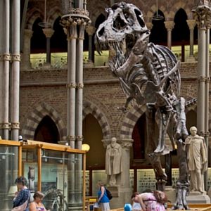 Oxford University Museum of Natural History