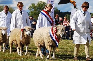 <b>Moreton Show</b><p><p><i>6th September 2025</i>