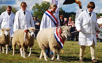 <b>Moreton Show</b><p><p><i>6th September 2025</i>